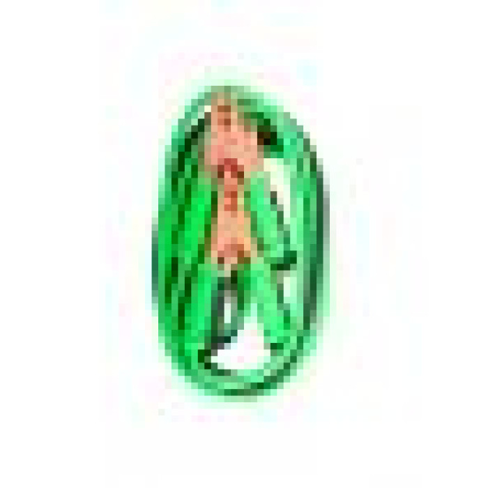 Пускові дроти Winso Booster Cables With Battery Clamps 400А 2,5м 138410