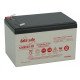 Аккумулятор тяговый DataSafe AGM 13Ah 53Вт 12V под клемму-коннектор 12HX50
