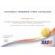 Автомобільна моторна олива SASH STATUS XP 10W-40 1л 100211