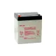 Акумулятор тяговый DataSafe AGM 5Ah 23Вт 12V під клему-конектор NPX25-12