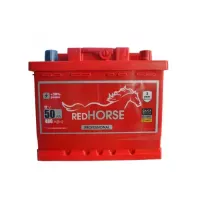 Автомобильный аккумулятор RED HORSE Professional Line 6СТ-50Ah АзЕ 480A (EN)
