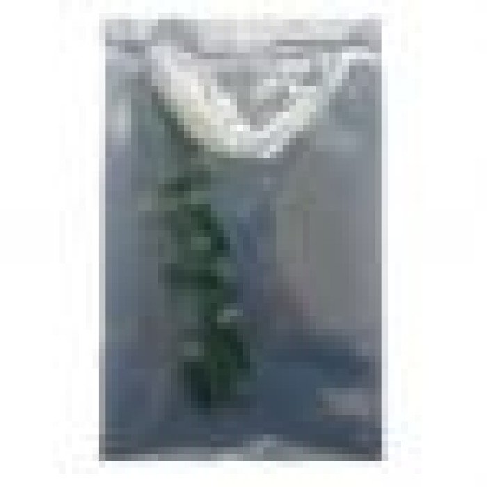 Автолампа Zollex LED WG20104 1шт. (T5, green, 12V, SMD 2835x1)