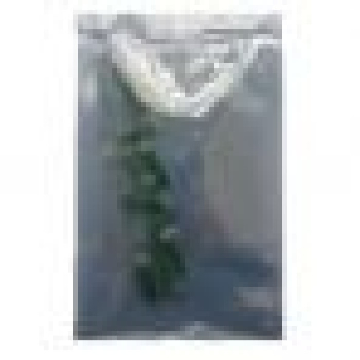 Автолампа Zollex LED WG20104 1шт. (T5, green, 12V, SMD 2835x1)